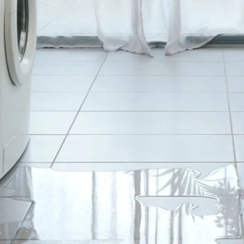 Appliance Leak Cleanup in Amelia, OH