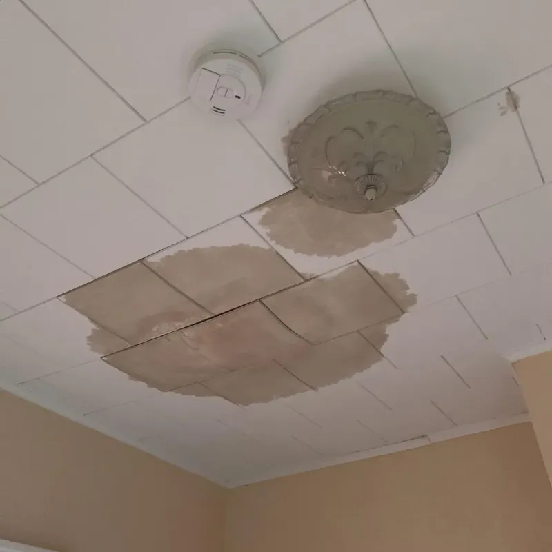 Ceiling Water Damage Repair in Amelia, OH