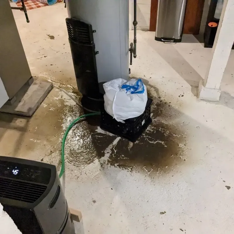Sewage Backup Cleanup Service in Amelia, OH